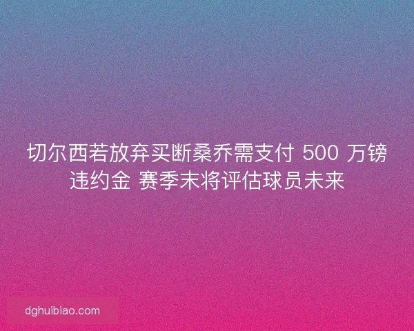 切尔西若放弃买断桑乔需支付 500 万镑违约金 赛季末将评估球员未来